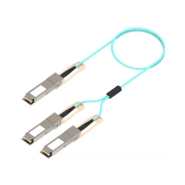 Singapore Fiber Optic Terminal Box 12-core
