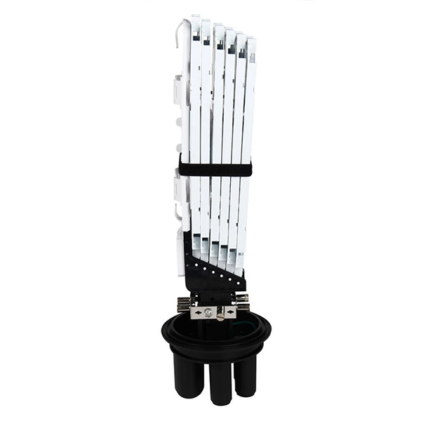 Optical Module PTN