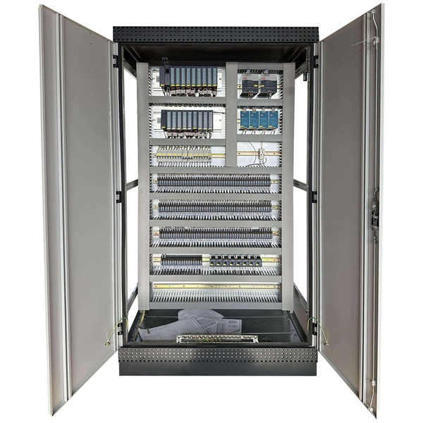 100Mbps Port and Optical Module