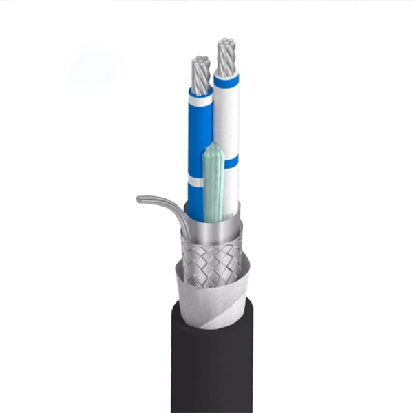 Switch fiber optic port plug