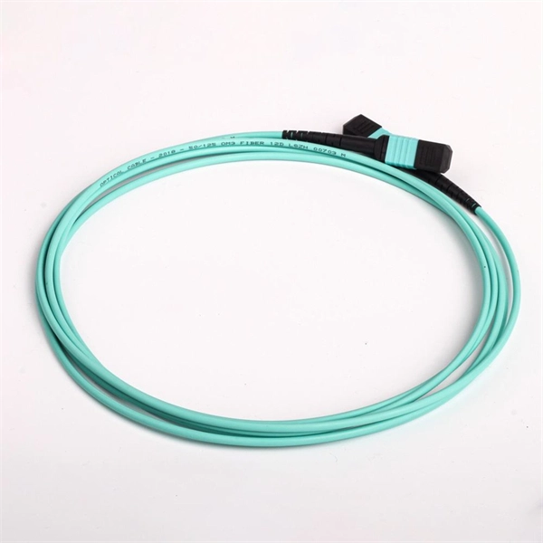 Fiber optic patch cord single-mode dual-core 1 meter