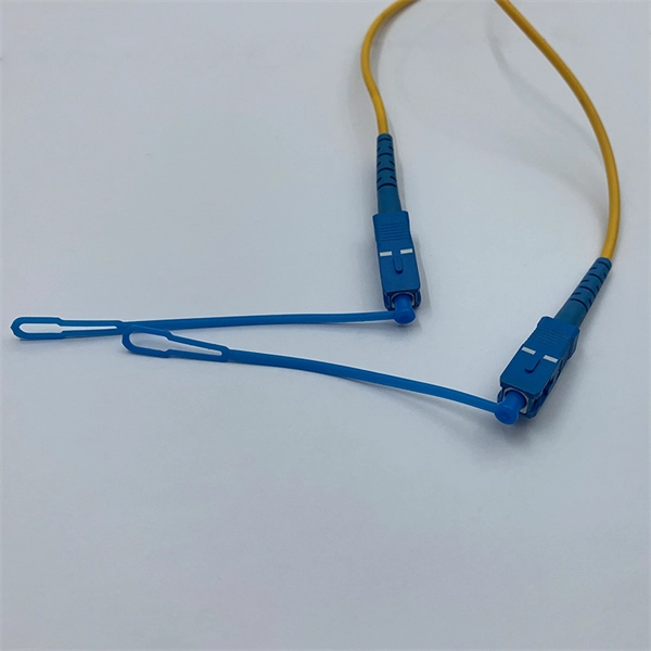 Gigabit Industrial Switches in China