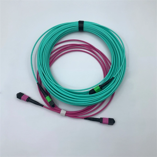 Are there ten types of fiber optic patch cords and how are they connected