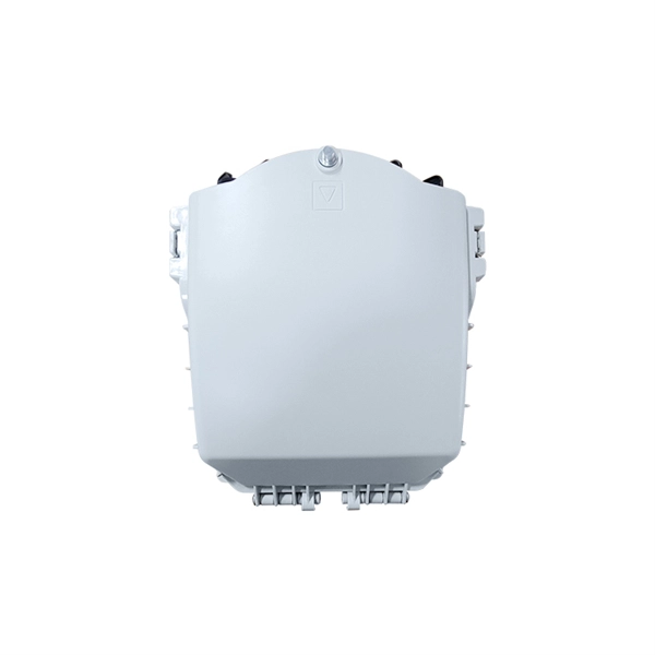 100M fiber optic router speed