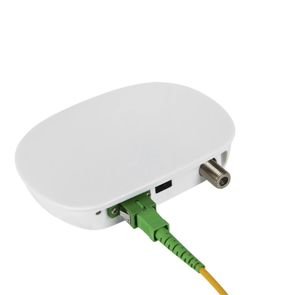 How to tell if a switch port is fiber optic or Ethernet cable